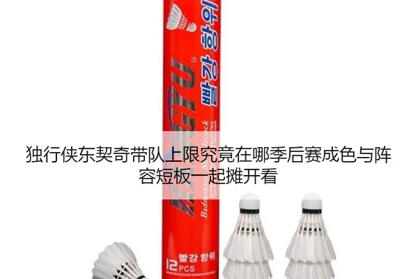 独行侠东契奇带队上限究竟在哪季后赛成色与阵容短板一起摊开看